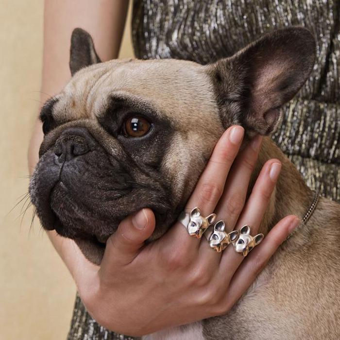 ELINA GLEIZER Jewelry French Bulldog Ring With Fancy Sapphires Setting